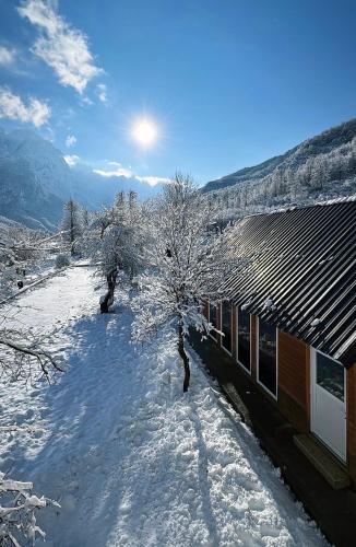 Lazer Çardaku Guest House