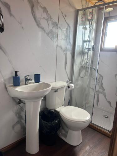 a bathroom with a toilet and a sink and a shower at Villa Lagunitas in Puerto Montt