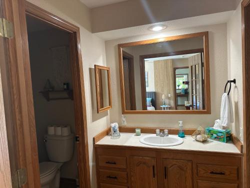 a bathroom with a sink and a mirror at Legacy Lakehouse in Spicer