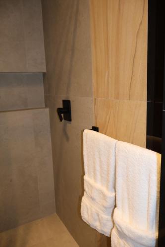 a bathroom with a shower with a towel on a towel rack at Ramon Luxury Suites in Gualaceo