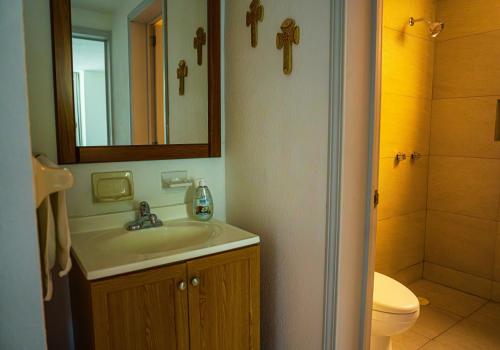 a bathroom with a sink and a toilet and a mirror at Viveros Centric and Comfortable Apt 2BR B Quintana Alamos in Laborcillas
