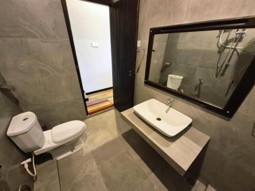 a bathroom with a toilet and a sink and a mirror at Aroma Holiday Home-Haputhale in Haputale