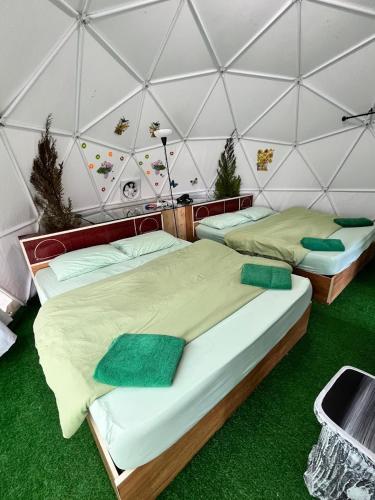 a couple of beds in a room with green grass at Sameer Mountain View Glamping in Cameron Highlands