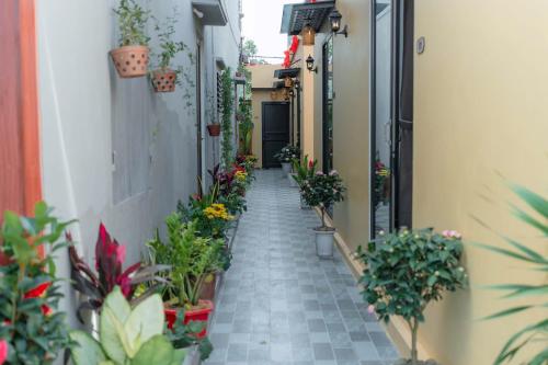 an alley filled with potted plants and flowers at ThuAn Homestay Hoa Lư in Ða Gia