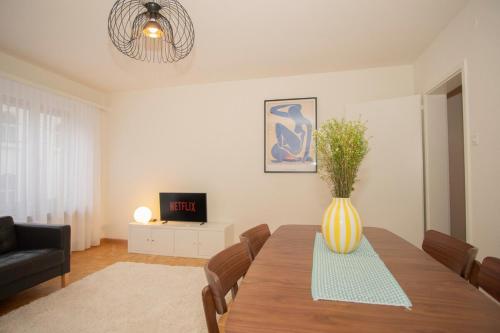Central 2-bed flat in city center with BaselCard