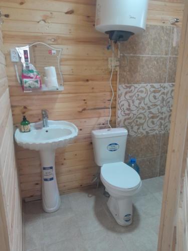 a bathroom with a toilet and a sink at Riverside Nature in Martvili