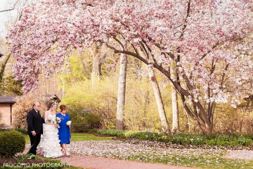 a bride and groom standing in front of a flowering tree at Gramercy Mansion in Stevenson