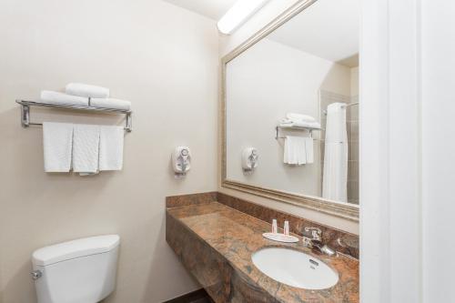 a bathroom with a sink and a toilet and a mirror at Baymont by Wyndham Savannah/Garden City in Savannah