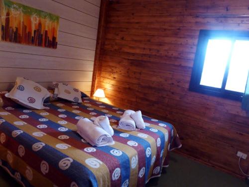 Hotel Hualum – Photos 2