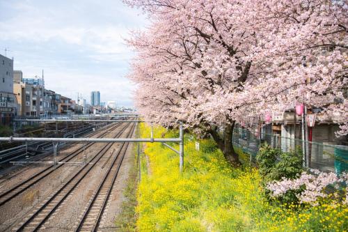 4 min to Shinjuku - Up to 8pax - 3BR - Near Shibuya, Harajuku