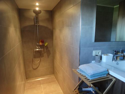 a bathroom with a shower and a sink at 'T Lang Zweerd in Middelkerke