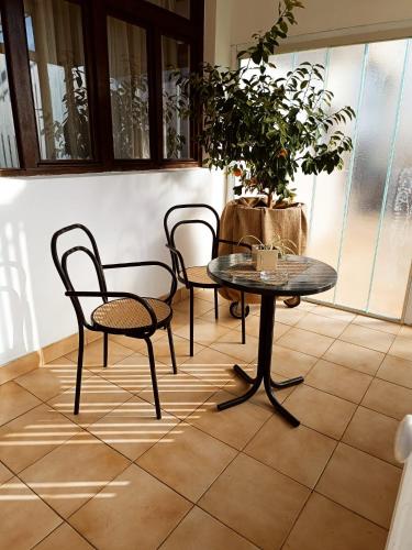 a table and chairs in a room with a potted plant at Apartman Centar in Grude