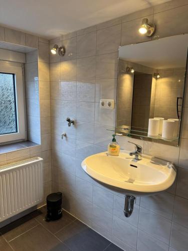 a bathroom with a sink and a mirror at Ferienhaus in Glauchau, Garten, Grillmöglichkeit, Privatparkplatz, Kaffeevollautomat, Wlan, Netflix in Glauchau