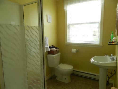 a bathroom with a toilet and a sink at Whitsha Inn B&B in Twillingate