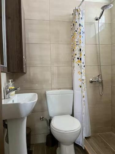 ein Badezimmer mit Toilette, Waschbecken und Dusche in der Unterkunft Marirena Seaside 1 in Kokkinos Pyrgos