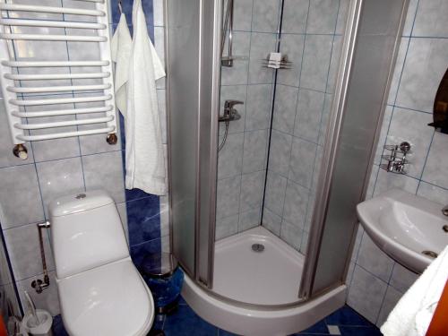 a bathroom with a shower and a toilet and a sink at Near the Lake in Lviv