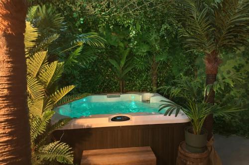 Jungle room, Jacuzzi privatif et cinéma