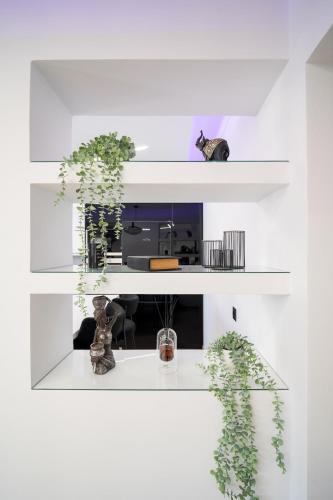 Joy's Apartment