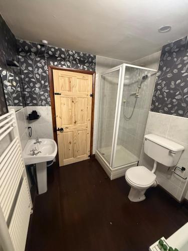 a bathroom with a toilet and a shower and a sink at Lucy Cross Farm Cottage in Richmond