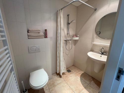 a bathroom with a shower and a toilet and a sink at Gastenverblijf WeijdeBlik in Sinderen