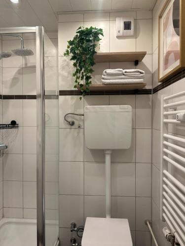 a bathroom with a toilet and a shower at Ostseeferienparadies Heiligenhafen in Heiligenhafen