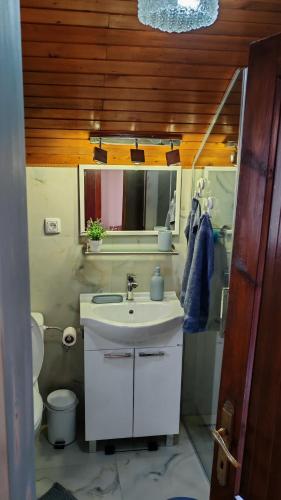 a bathroom with a sink and a toilet and a mirror at Apartman Pavle Mladenovac in Mladenovac