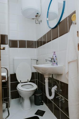 a bathroom with a toilet and a sink at Apartman Antonio in Gospić