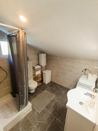 a bathroom with a shower and a toilet and a sink at Guesthouse Podaca in Podaca