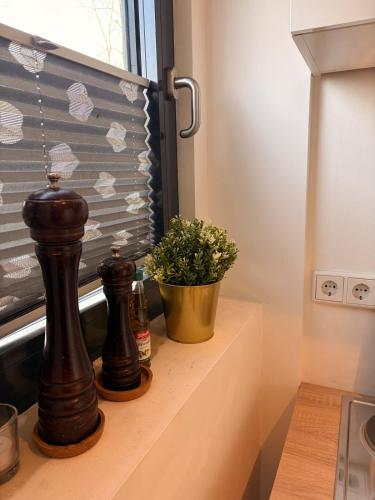 a window sill with a potted plant on it at Gästehaus am Privatsee in Biederitz