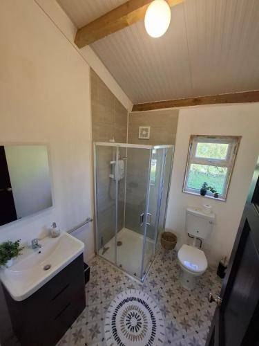 a bathroom with a shower and a sink and a toilet at Countryside Cabin in Charlestown