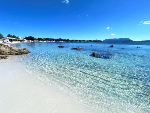 a beach with rocks in the water on a clear day at Sea Love in Olbia