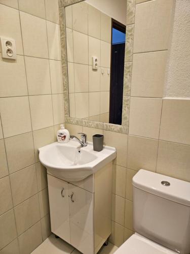 a bathroom with a sink and a toilet and a mirror at Apartmán pro dvě osoby Ostrov in Ostrov
