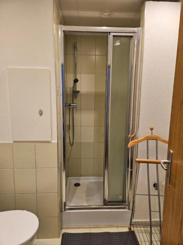a shower with a glass door in a bathroom at Apartmán pro dvě osoby Ostrov in Ostrov