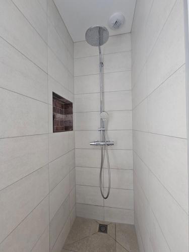 a shower with a shower head in a bathroom at Maison La p'tite des Got - Terrasse & Parking in Viriat