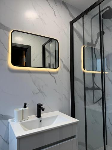a bathroom with a sink and a mirror at The Resting Place in Aberystwyth