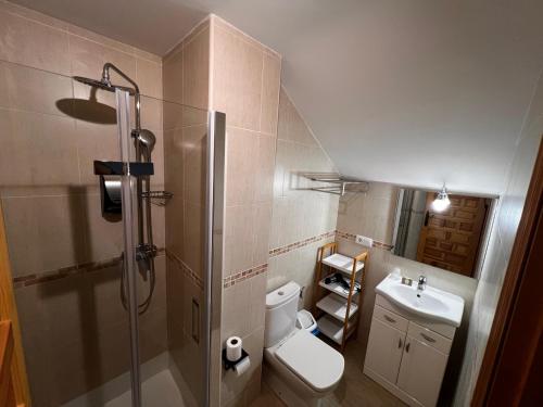 a bathroom with a shower and a toilet and a sink at Hotel Puente de Piedra in Zamora
