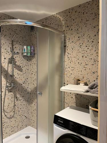 a bathroom with a shower and a washing machine at Lapu ielas apartment in Ogre