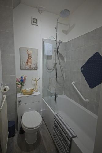 a bathroom with a shower and a toilet and a tub at Ground floor well appointed cosy flat in Ludlow in Ludlow
