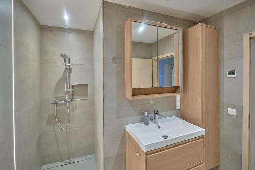 a bathroom with a shower and a sink and a mirror at Riverside Holiday in Eupen