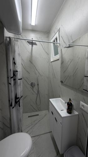Hostel Alea