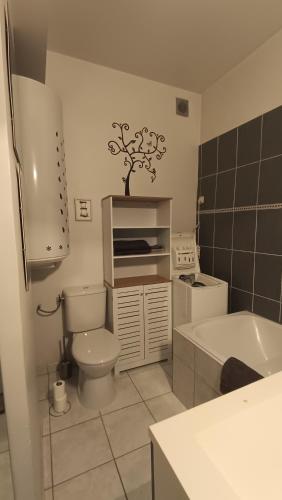 Appartement quartier Libération proche Université Valrose