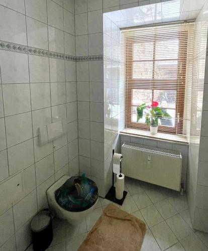 a white bathroom with a toilet and a window at Bike & Relax in Bernburg