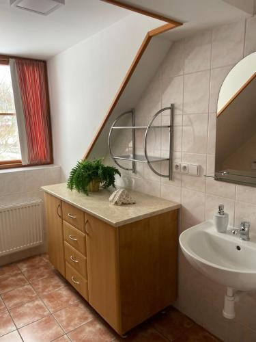 a bathroom with a sink and a mirror and a sink at Apartmány Rosalka in Stará Oleška