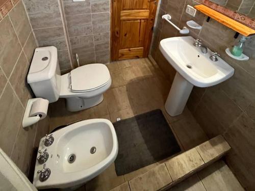 a bathroom with a toilet and a sink at Cabañas Las Cascadas in Caviahue