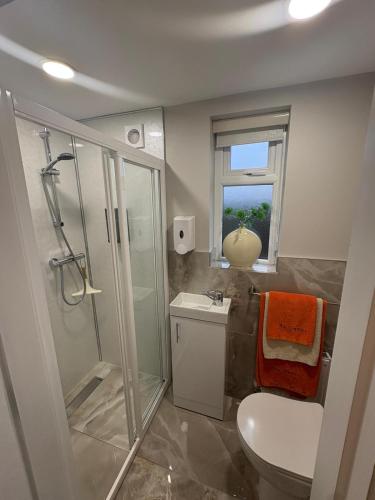 a bathroom with a shower and a toilet and a sink at An Camus Ballyliffin in Ballyliffin