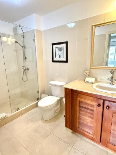 a bathroom with a toilet and a shower and a sink at The Cove Apartments in El Francés