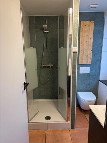 a shower stall in a bathroom with a toilet at De Danser 2 in Klaaswaal
