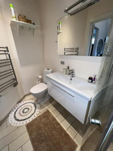a bathroom with a sink and a toilet and a mirror at Flot byhus tæt på Lalandia og Femern in Rødby