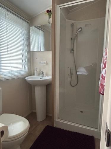 a bathroom with a shower and a toilet and a sink at Rowan 42 in New Milton