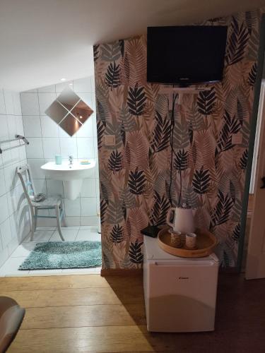 a bathroom with a shower with a tv on a wall at Domaine de Fontcouverte in Fontcouverte